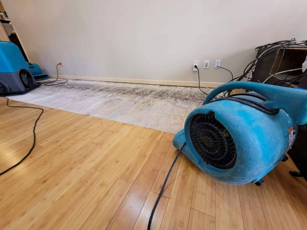 Professional Burst Pipe Water Damage technician working in Weymouth, MA